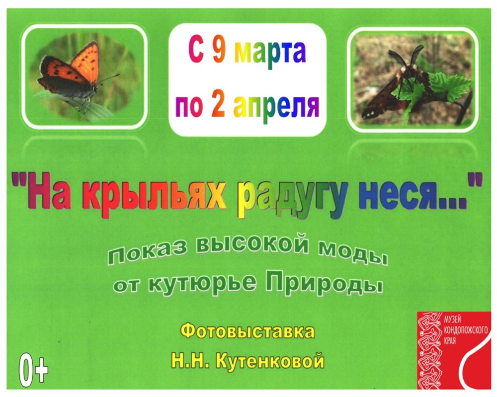 BBMF__5zLsk.jpg